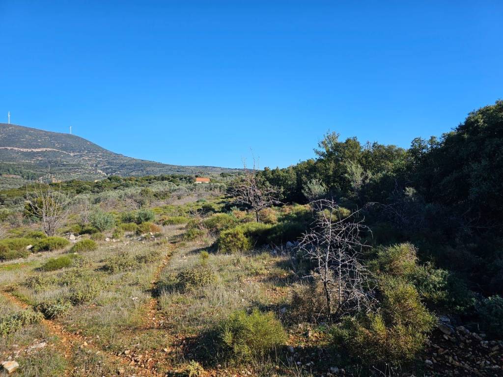 In Achladokampos a 9,250 sq m. a plot of land is for sale