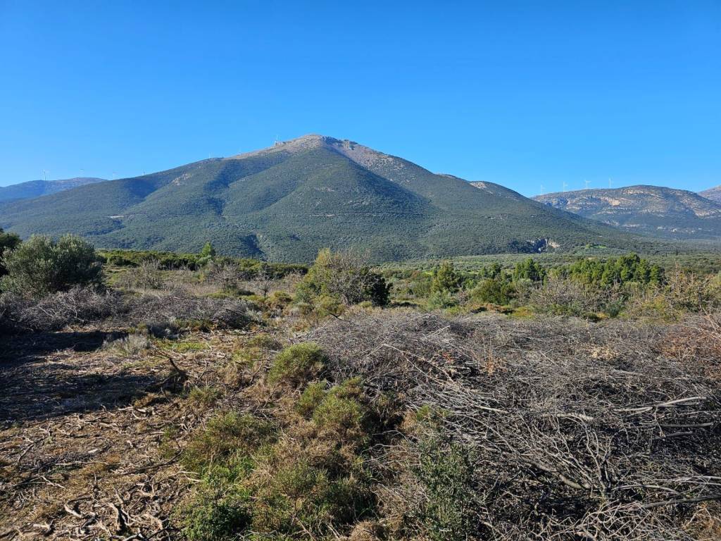 In Achladokampos a 9,250 sq m. a plot of land is for sale