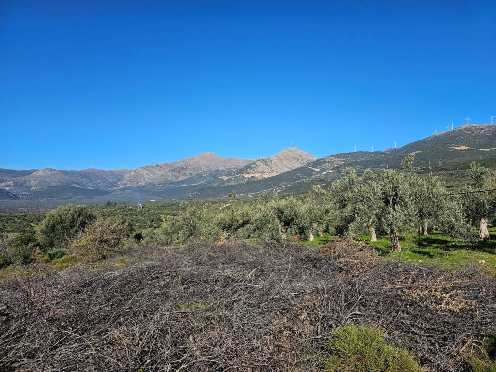 In Achladokampos a 9,250 sq m. a plot of land is for sale