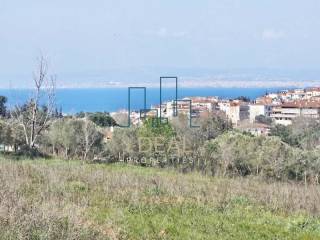 Αγροτεμάχιο