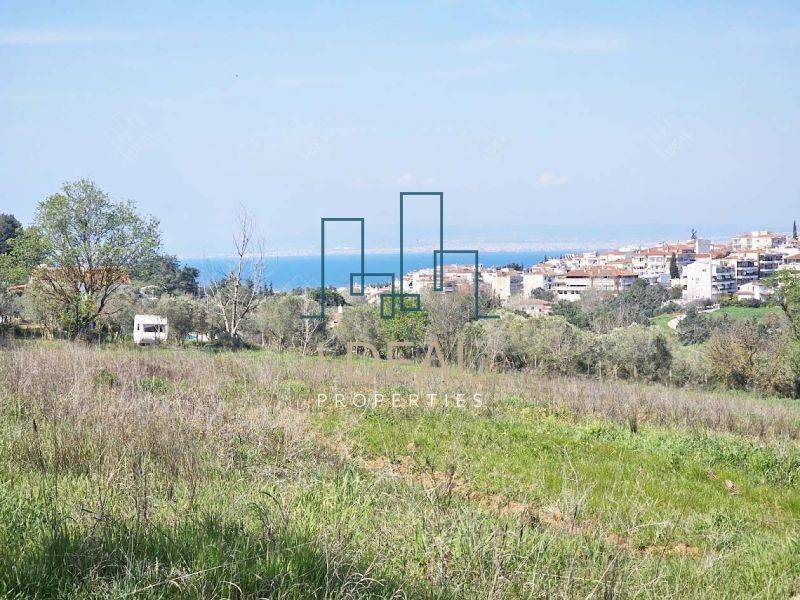 Αγροτεμάχιο