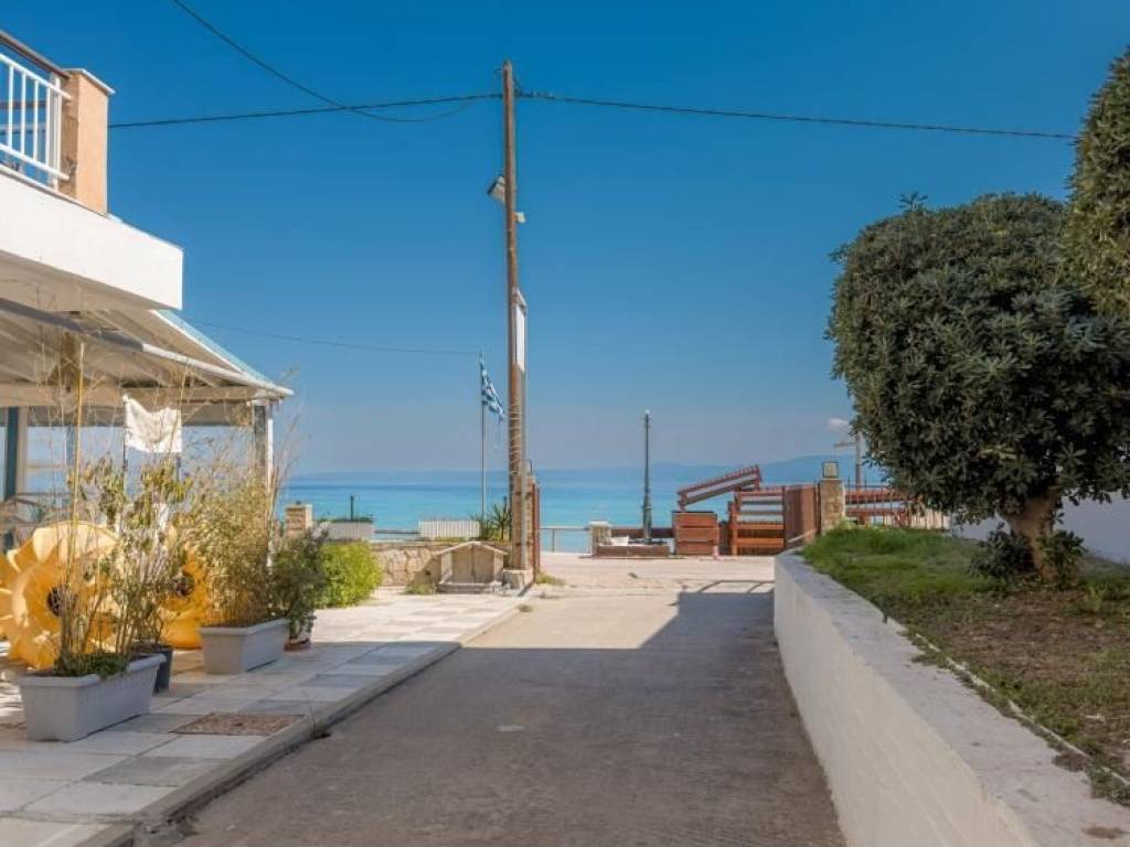 Άποψη εξωτερικού χώρου