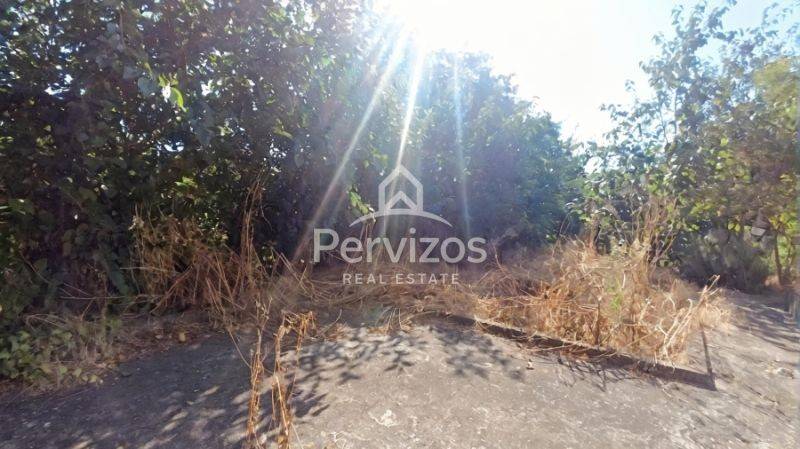 Εξωτερικός χώρος