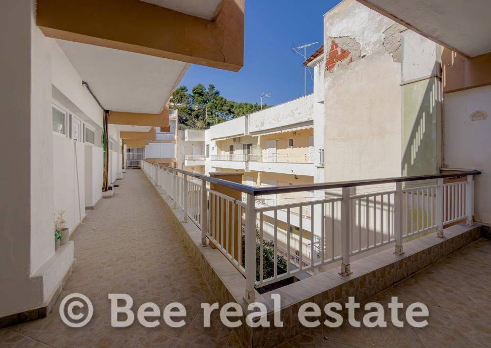 Άποψη εξωτερικού χώρου