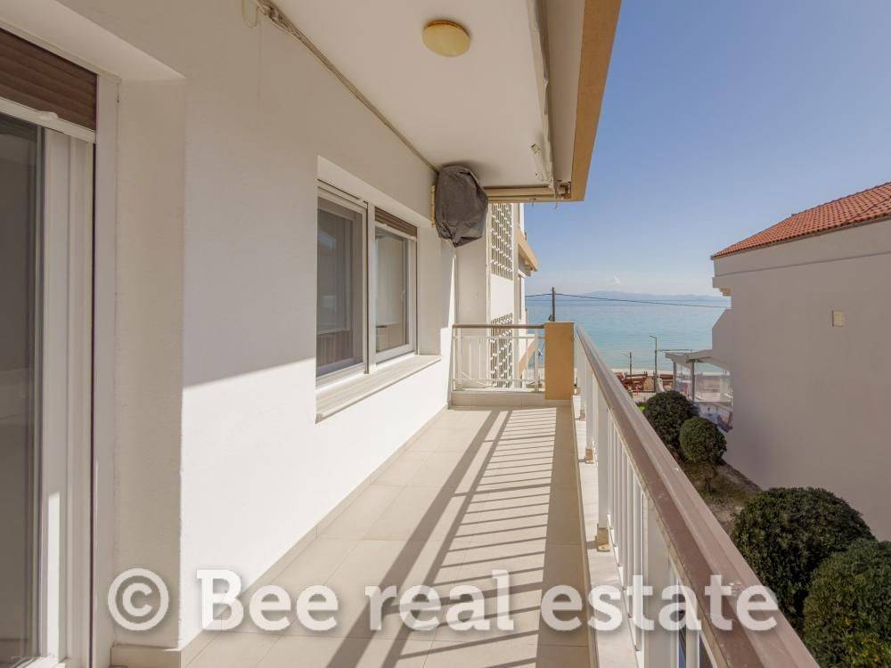 Άποψη εξωτερικού χώρου