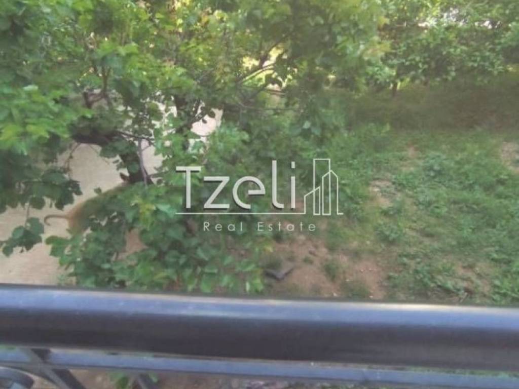 Exoterike apopse choroy