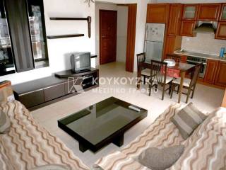 Σαλοκουζίνα