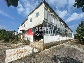 Εξωτερικοι χώροι