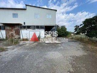 Εξωτερικοι χώροι