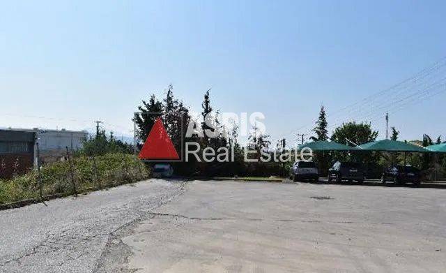 Εξωτερικοι χώροι