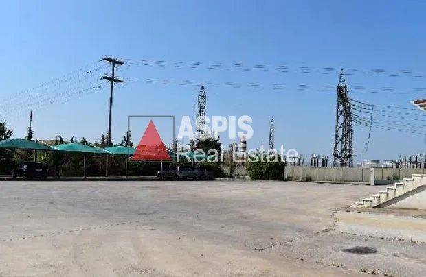 Εξωτερικοι χώροι