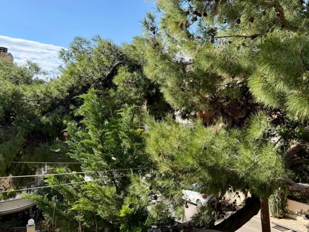 gargittos_residential_detached_for_sale