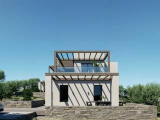 Idiotikos epigeios paradeisos