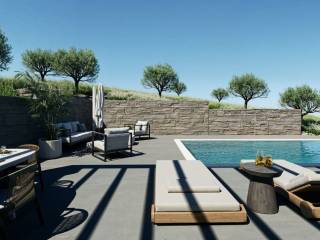 Diamorphose periballontos choroy