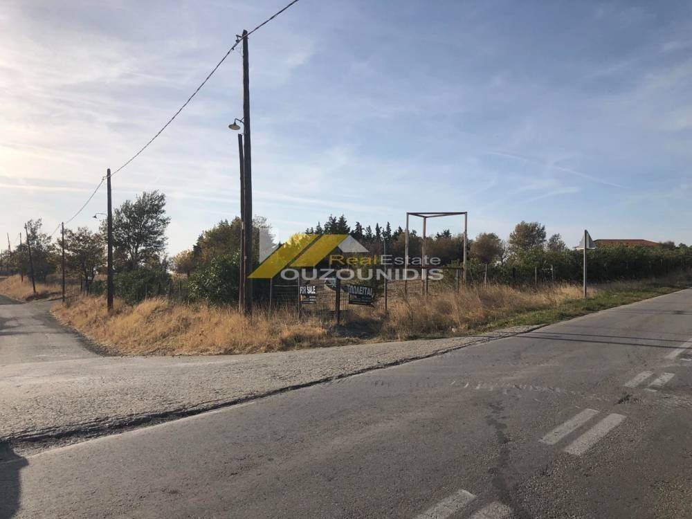 Αγορά επενδυτική έκταση 14 στρεμμάτων στα Αλώνια Σαμοθράκης