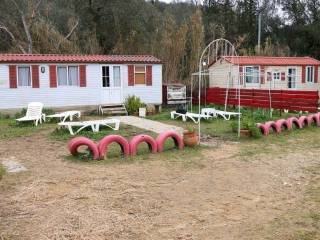 Other commercial - Grekodom 65132|1039459