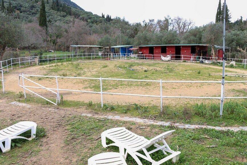 Other commercial - Grekodom 65132|1039464