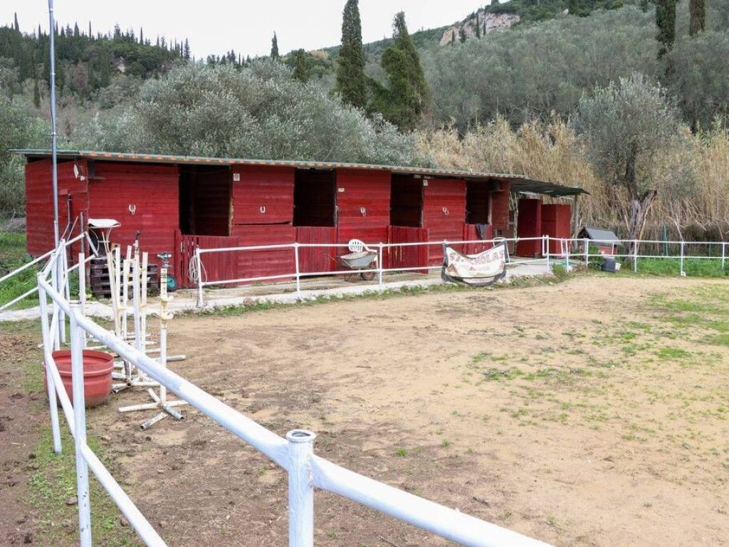 Other commercial - Grekodom 65132|1039439