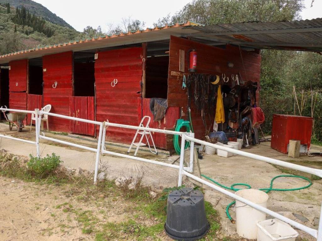 Other commercial - Grekodom 65132|1039429