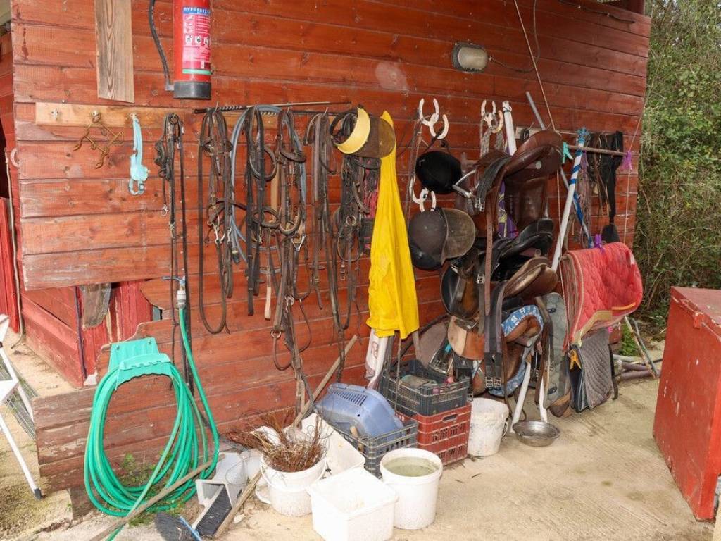 Other commercial - Grekodom 65132|1039431