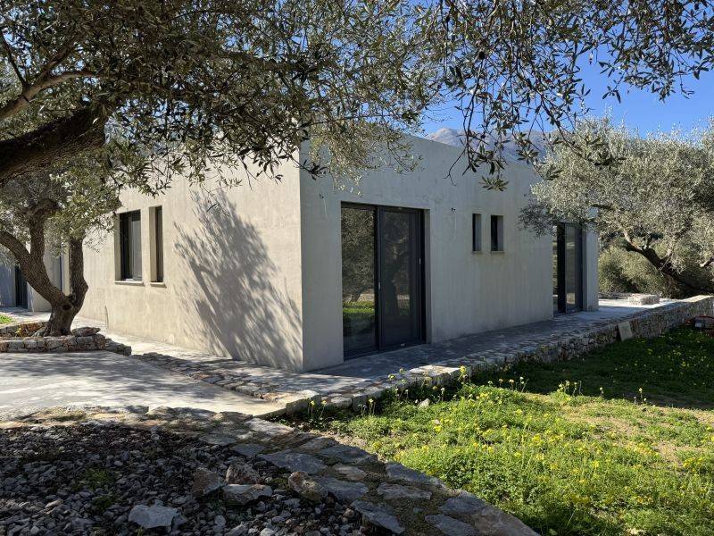 Exterior of the house