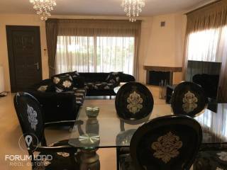 Forumland Real Estate, Σαλόνι με τζάκι