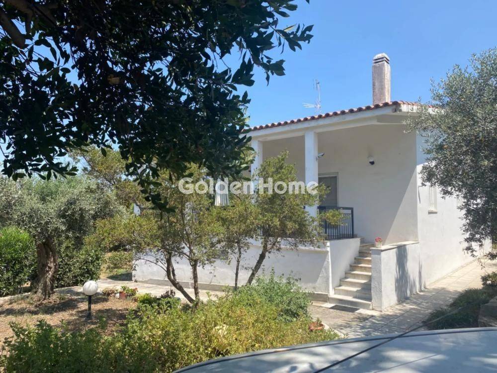 Εξωτερικός Χώρος