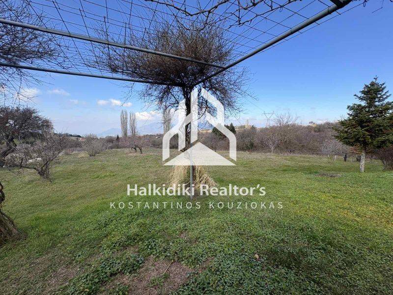 Εξωτερικός χώρος