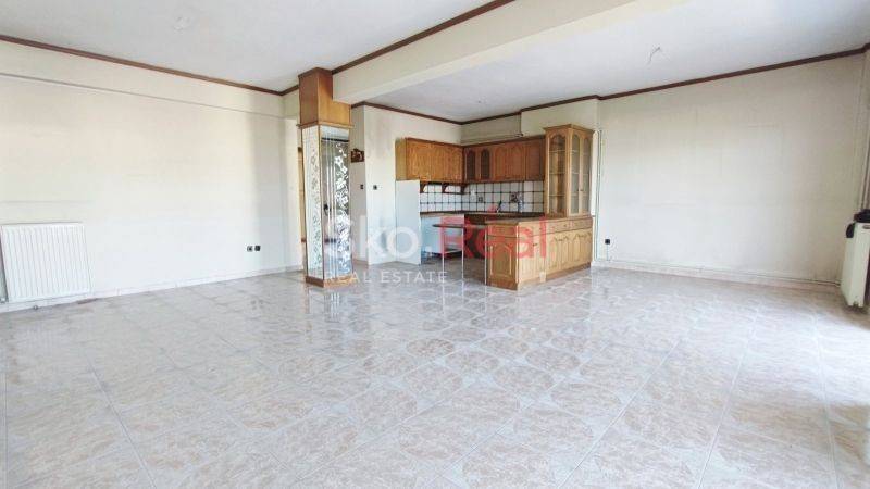 Σαλοκουζίνα