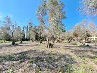 Plot - Grekodom 65710|1054953