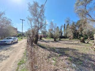 Plot - Grekodom 65710|1054952