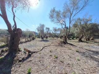 Plot - Grekodom 65710|1054955