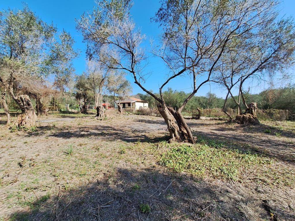 Plot - Grekodom 65710|1054956