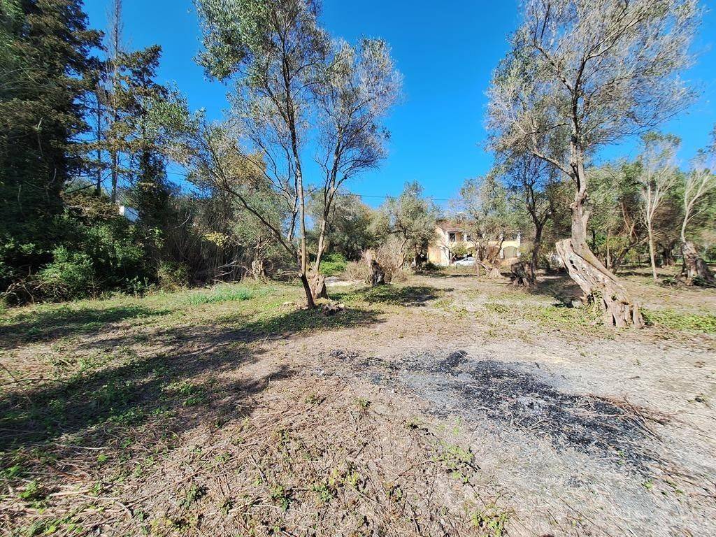 Plot - Grekodom 65710|1054958