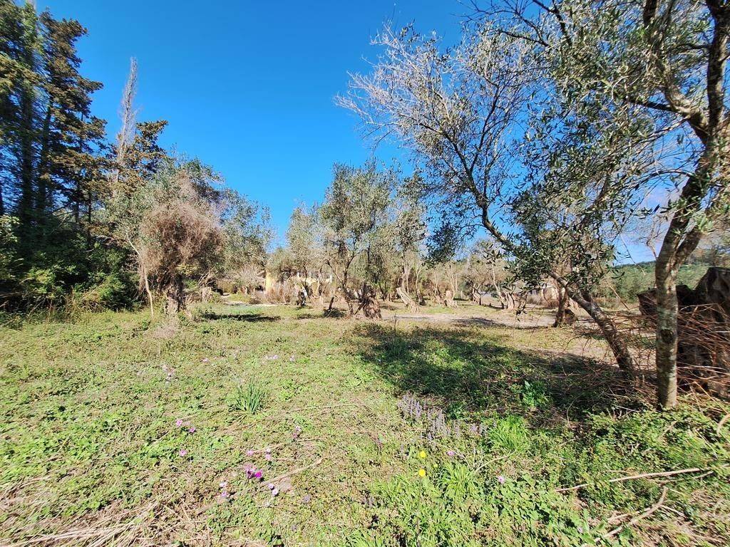 Plot - Grekodom 65710|1054959