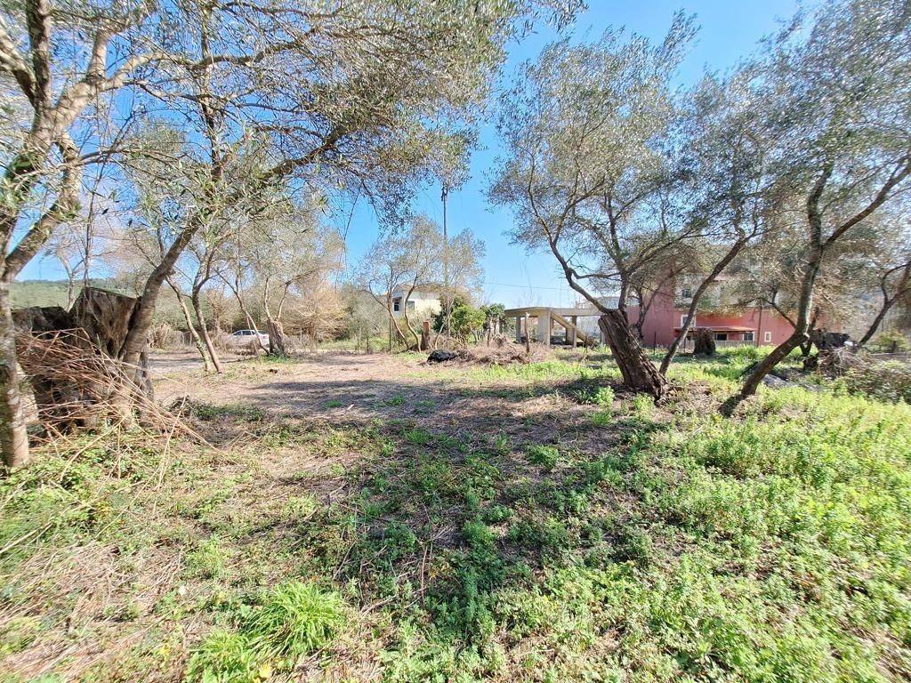 Plot - Grekodom 65710|1054961