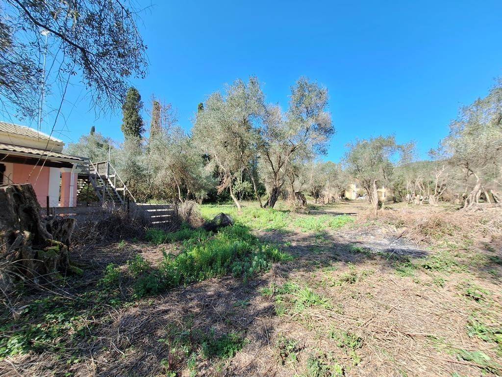 Plot - Grekodom 65710|1054962