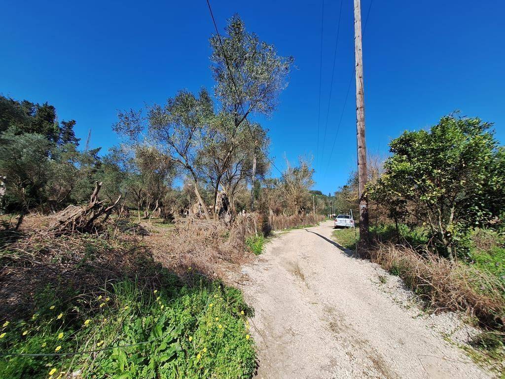 Plot - Grekodom 65710|1054964