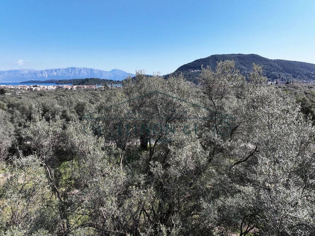 Η θέα από το αγροτεμάχιο