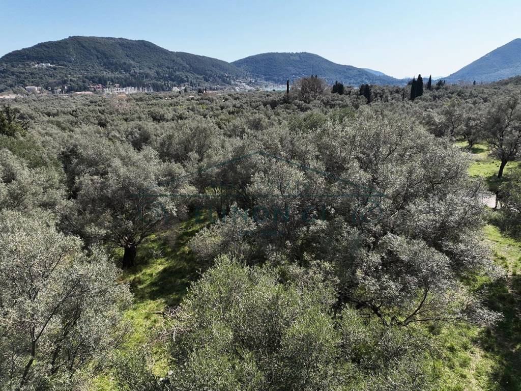 Η θέα από το αγροτεμάχιο