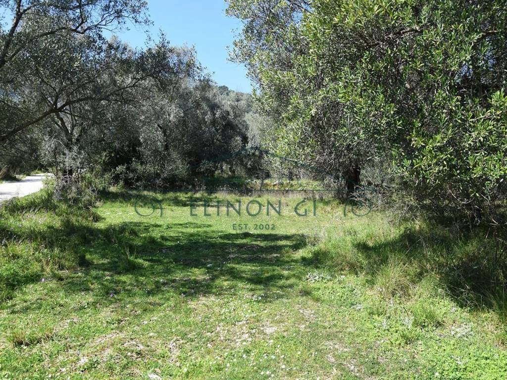 Εντός του αγροτεμαχίου