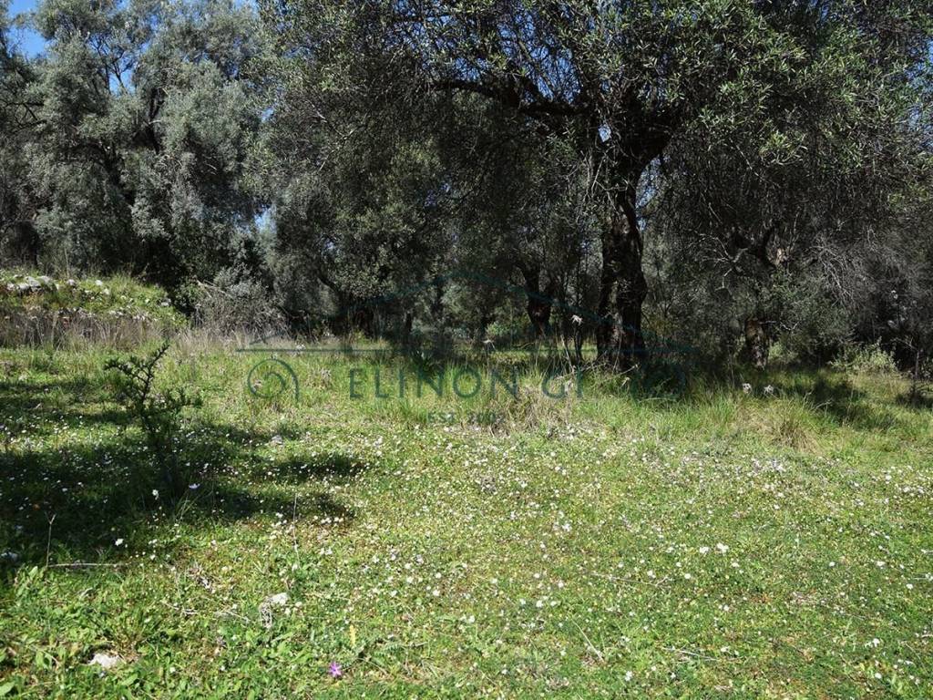 Εντός του αγροτεμαχίου