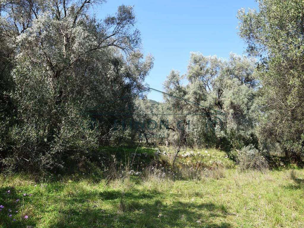 Εντός του αγροτεμαχίου