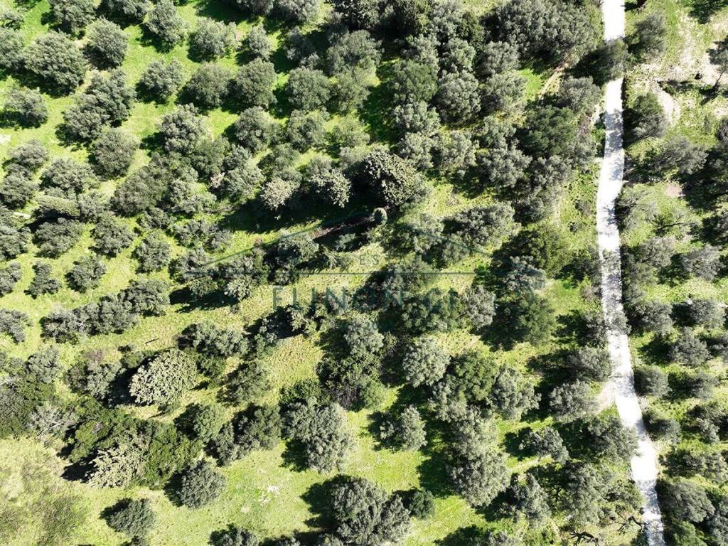 To agrotemachio apo psela