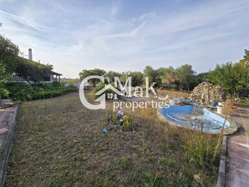 Εξωτερικός χώρος