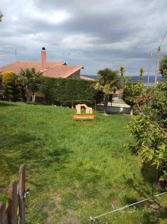 Στίβος, Διαμέρισμα