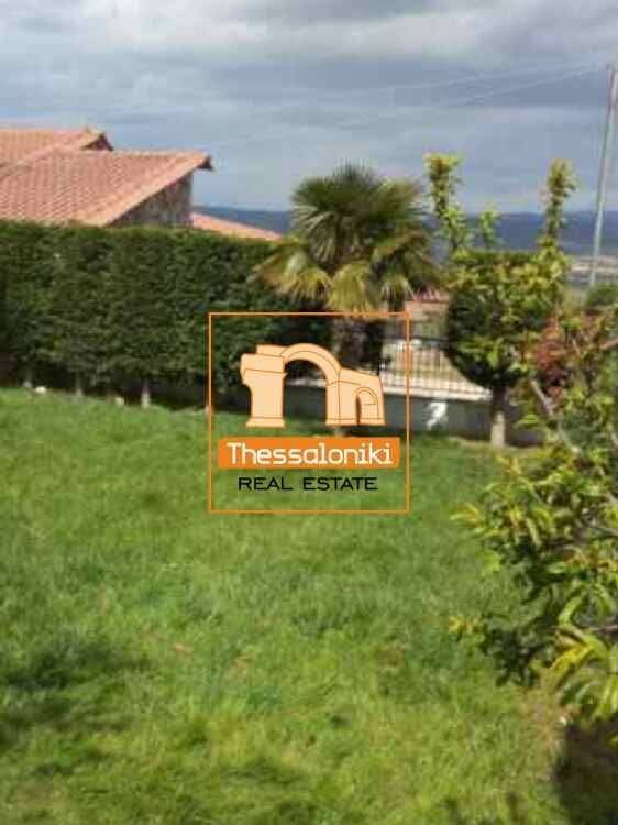 Στίβος, Διαμέρισμα