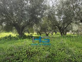 Οικόπεδο 5.500 τ.μ. με θέα Κορινθιακό