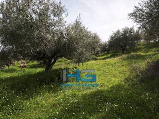 Οικόπεδο 5.500 τ.μ. με θέα Κορινθιακό