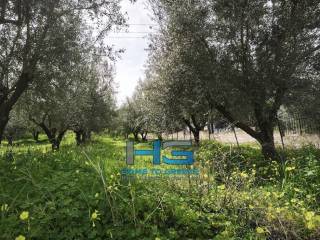 Οικόπεδο 5.500 τ.μ. με θέα Κορινθιακό